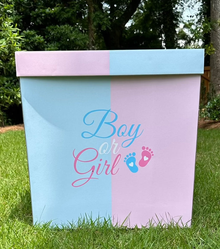 Giant Gender Reveal Box